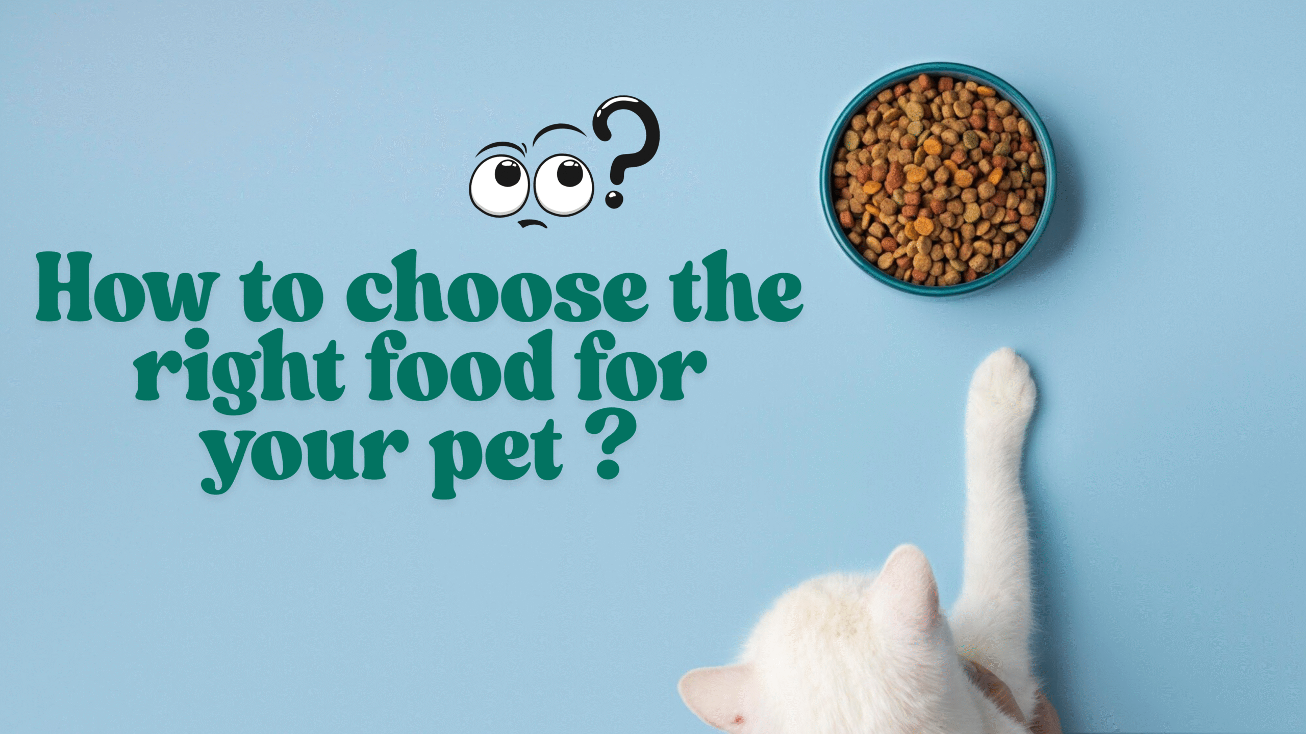 right food for your pet