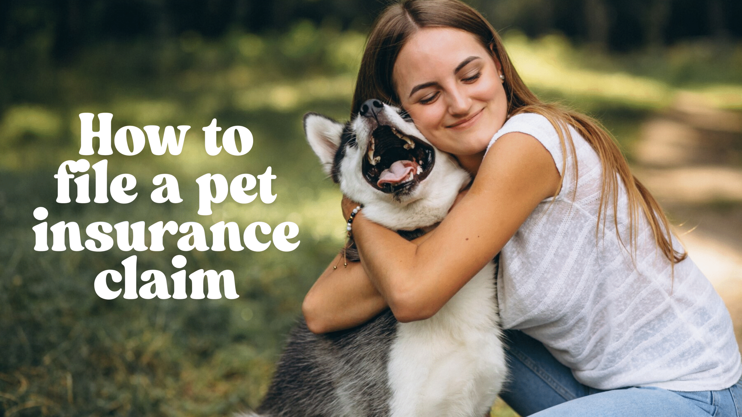pet insurance claim