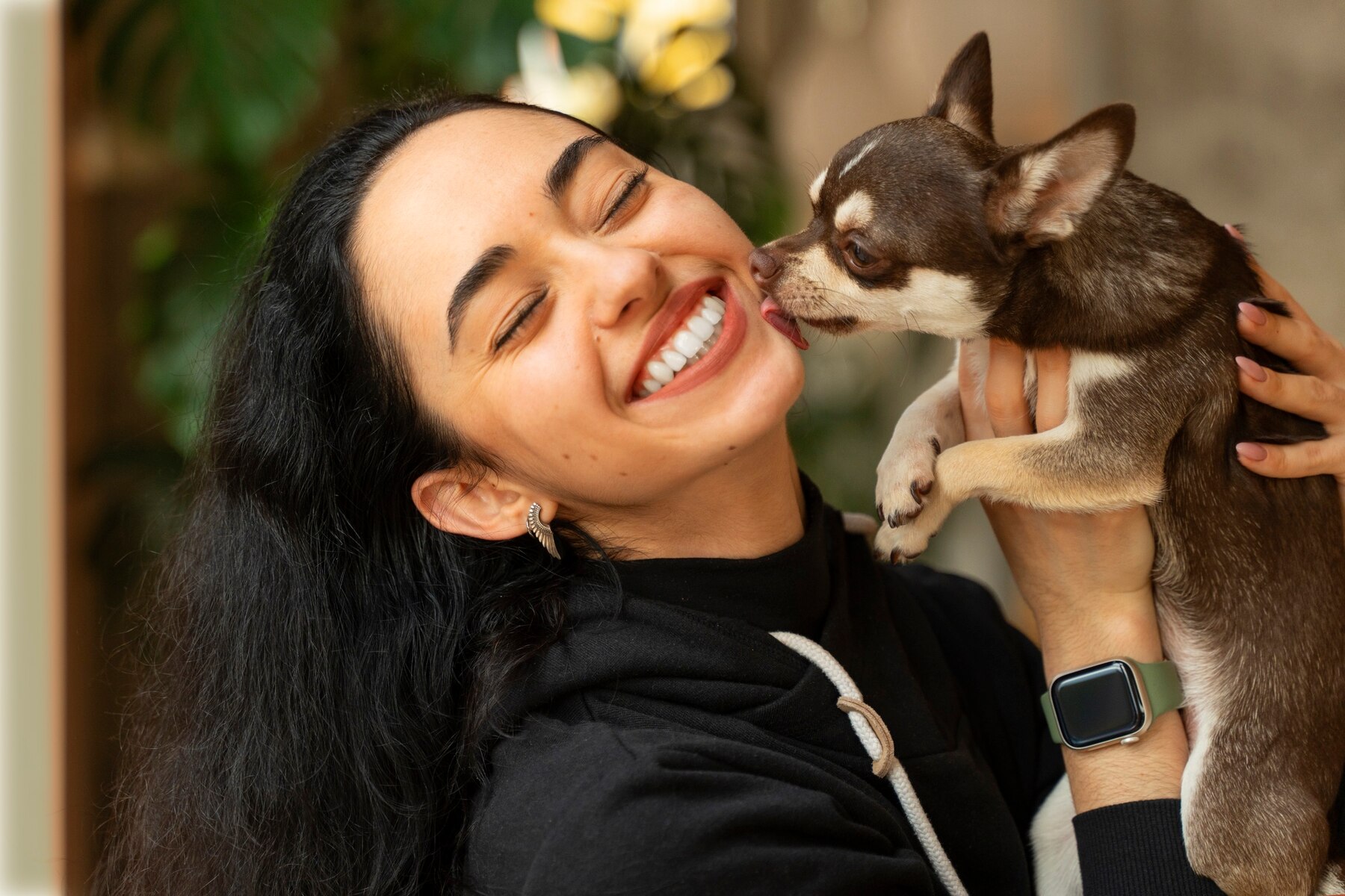 Daily Pet Care