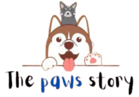 The Paws Story