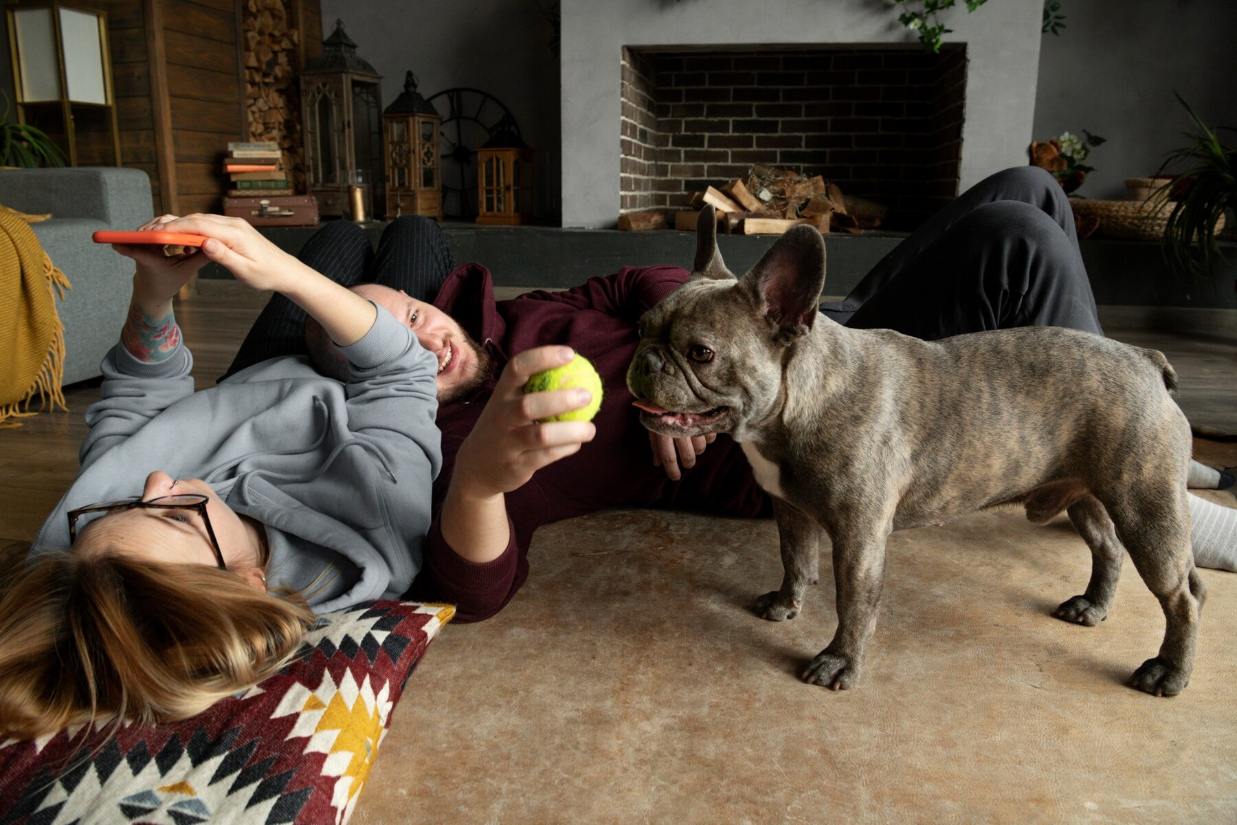 games for pets