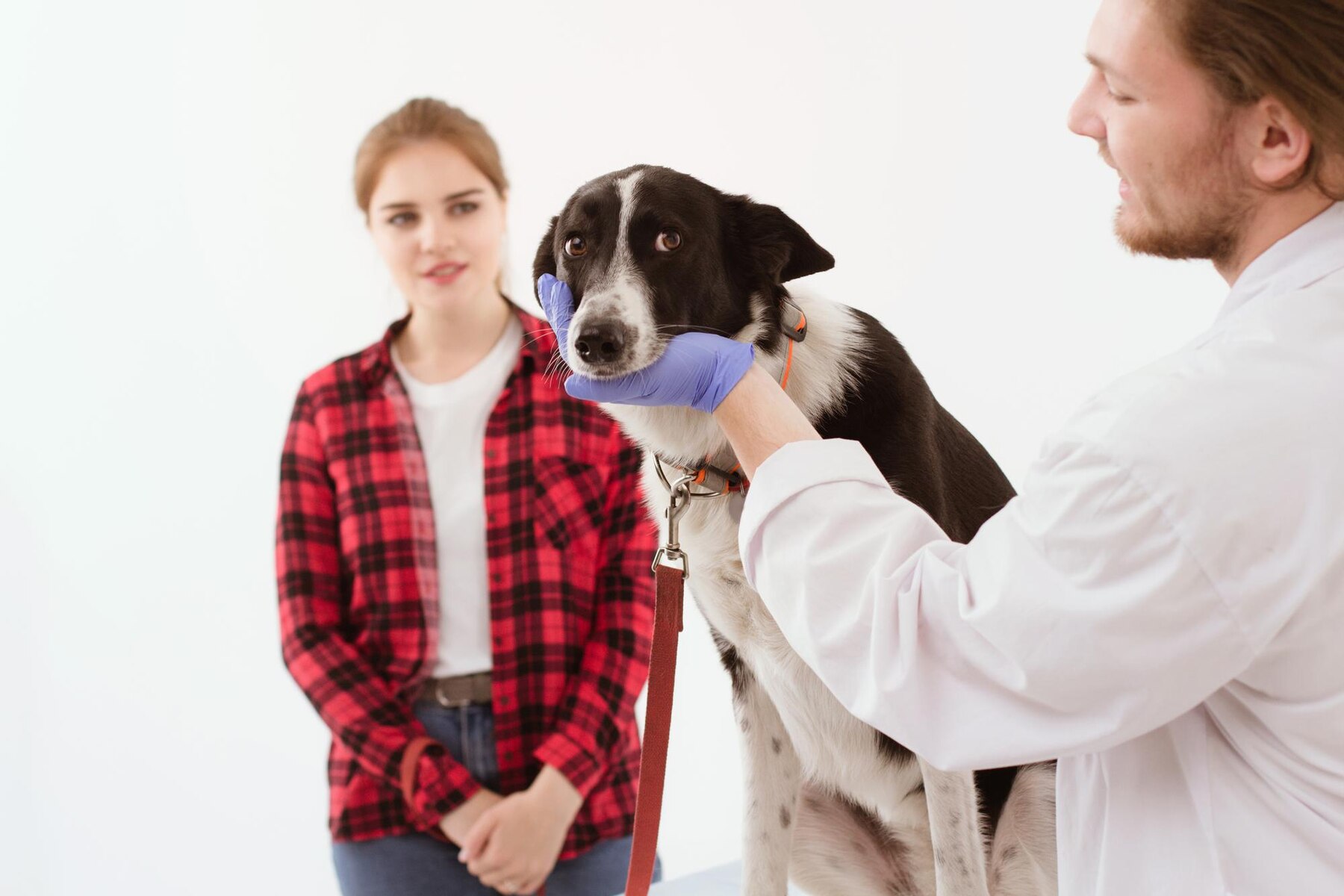 Common Pet Health Problems