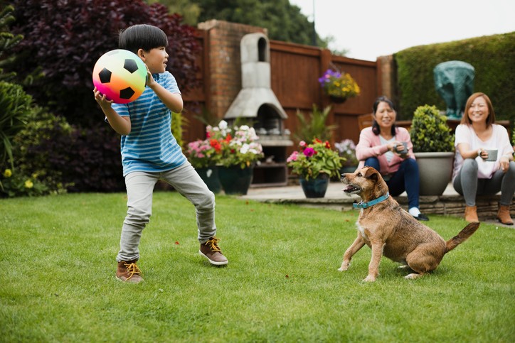How Much Exercise Does My Dog Need Daily