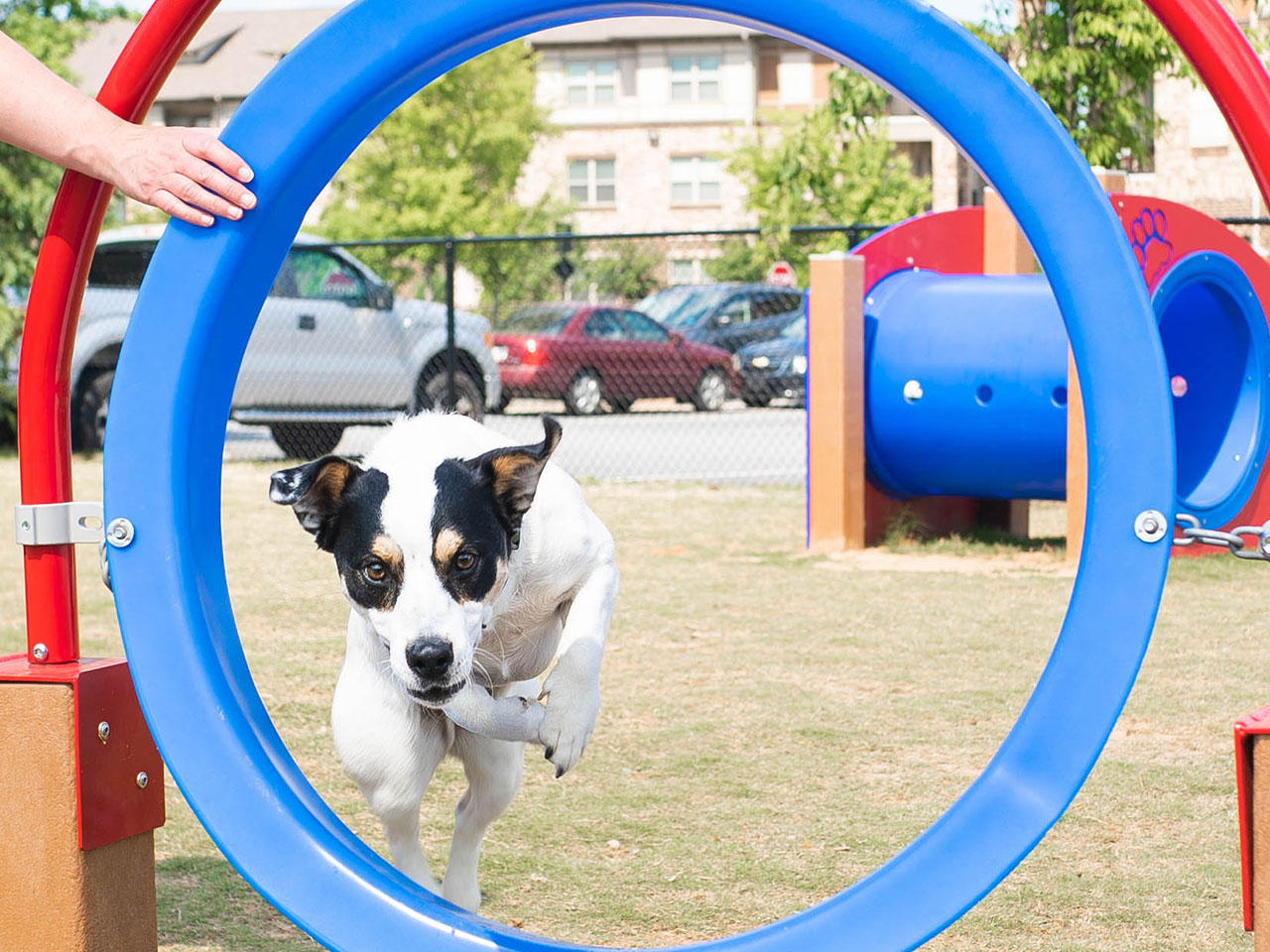 Indoor & Outdoor Enrichment Play Centers