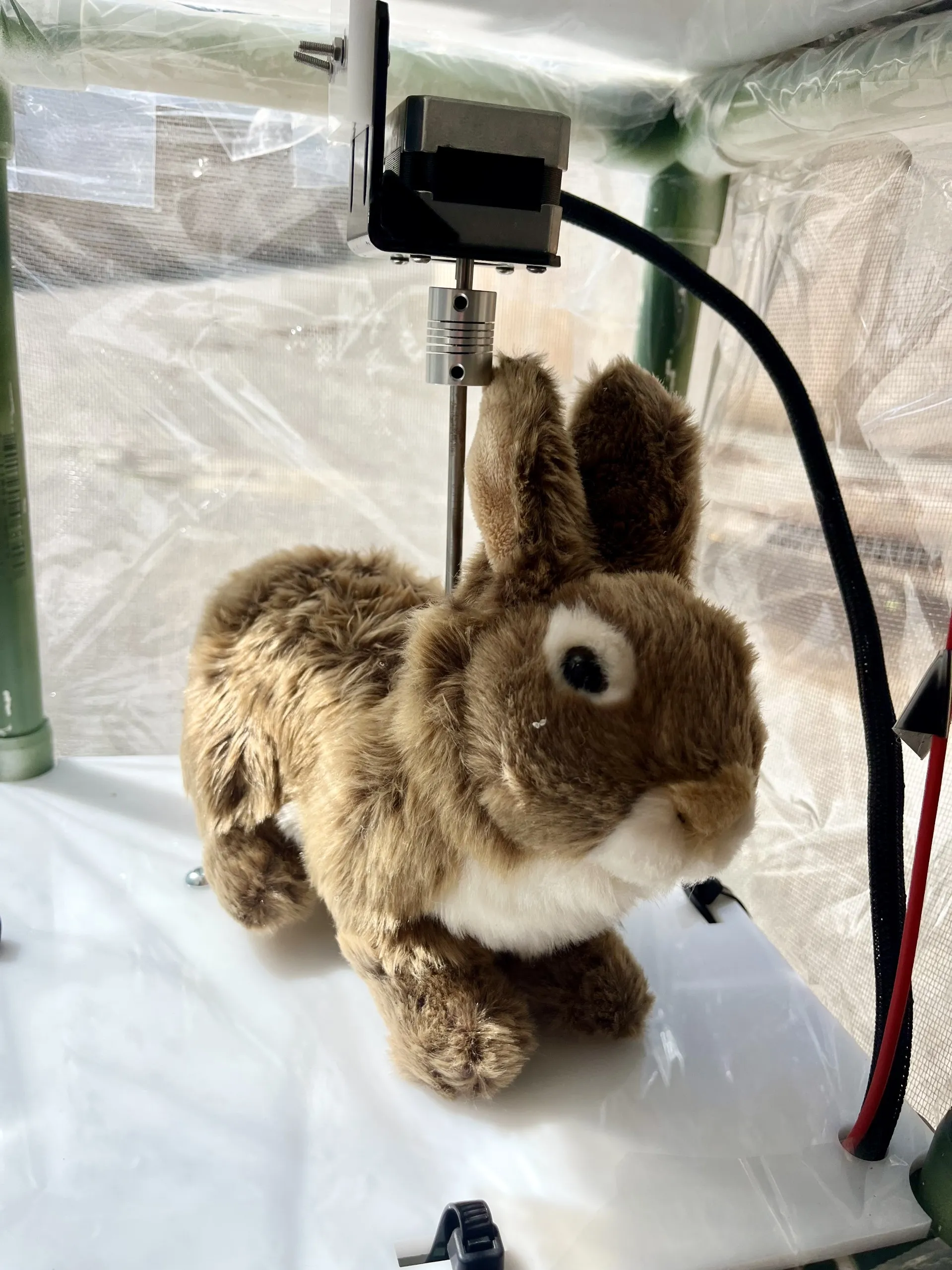 Robotic rabbits