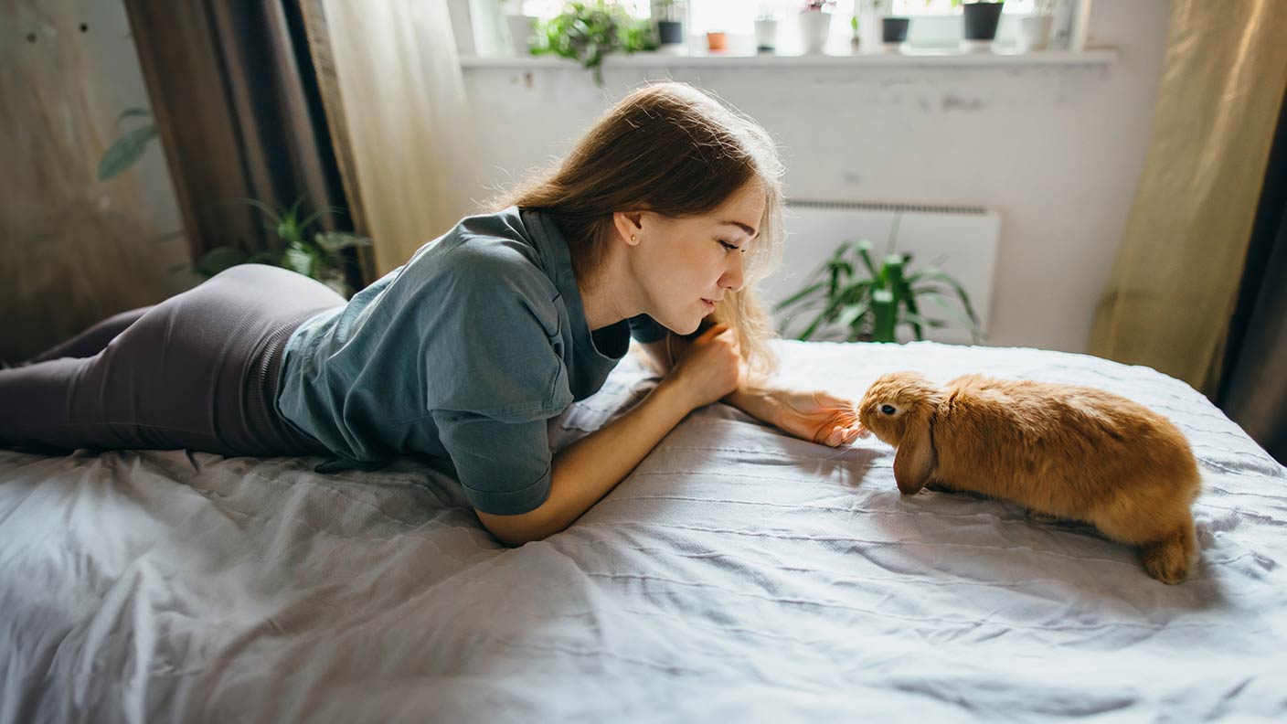 Beginner’s guide to rabbit pet insurance
