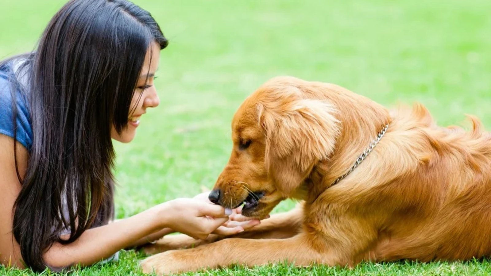 10 Times Animals Were Better at Being Human Than Humans"