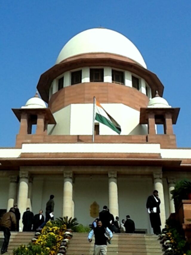 What is happening in India about stray dogs and what justice Vikram Nath commented about it?