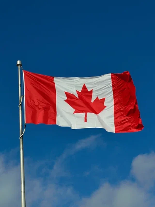 Do you know what is the rabbit insurance in Canada..
